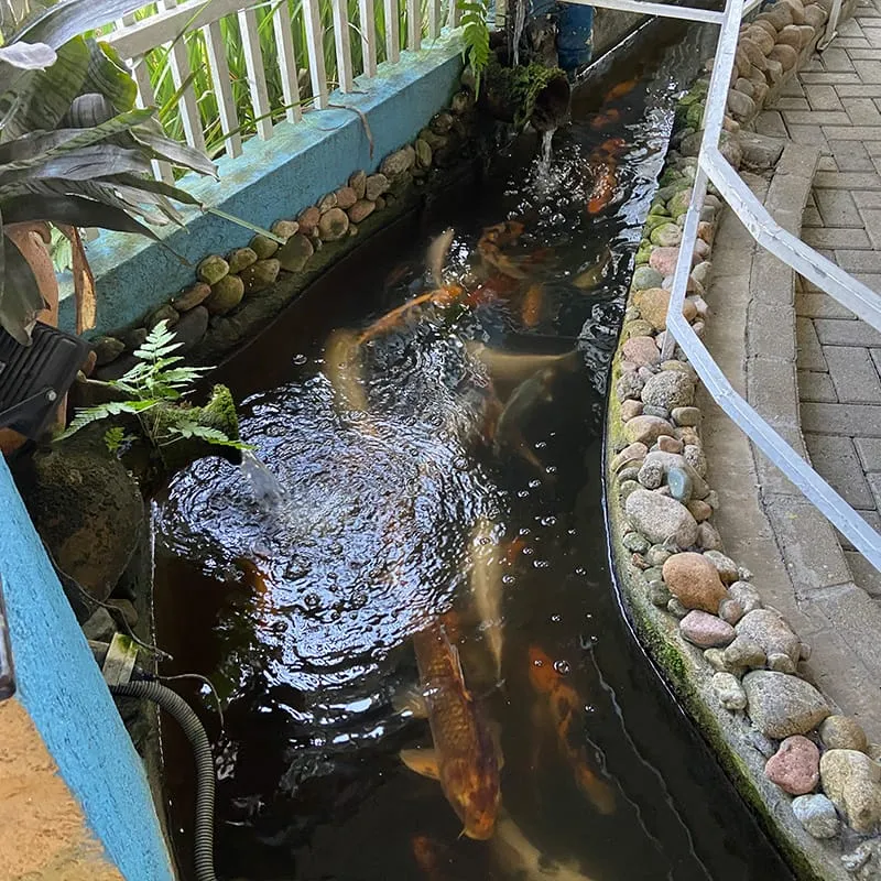 Como escolher melhor salão de festas infantil Curitiba